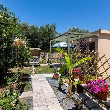 Bougainvillea House With Private Garden Faraí Εξωτερικό φωτογραφία