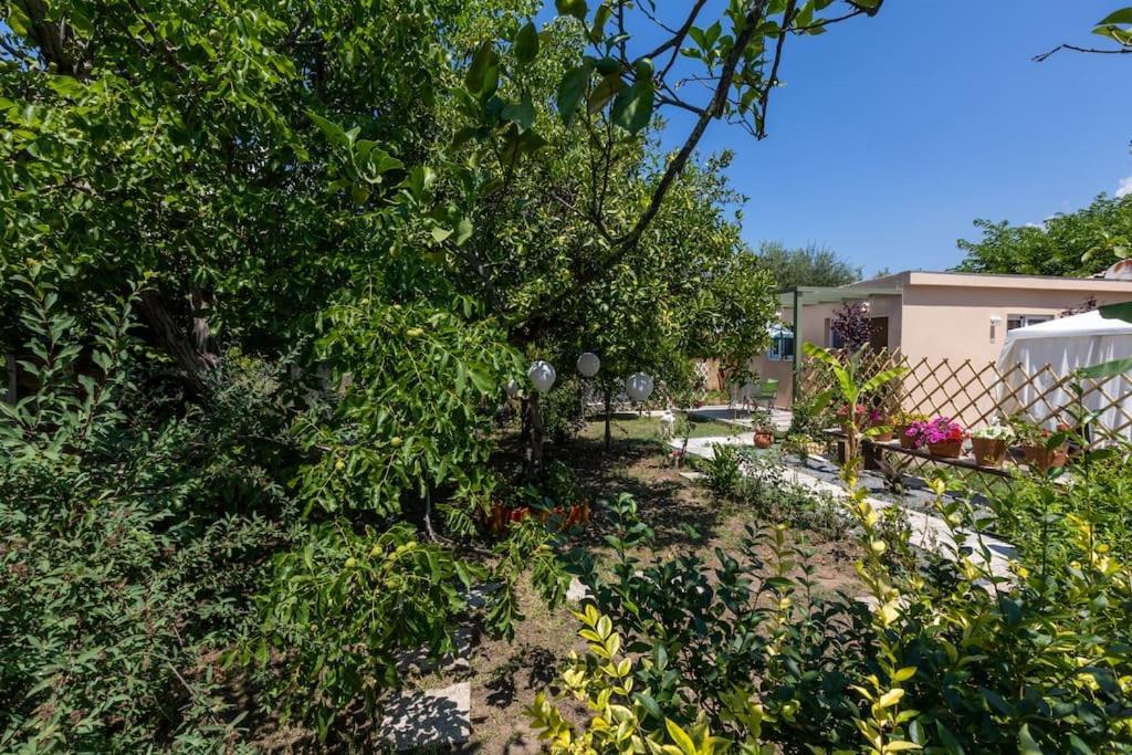 Bougainvillea House With Private Garden Faraí Εξωτερικό φωτογραφία