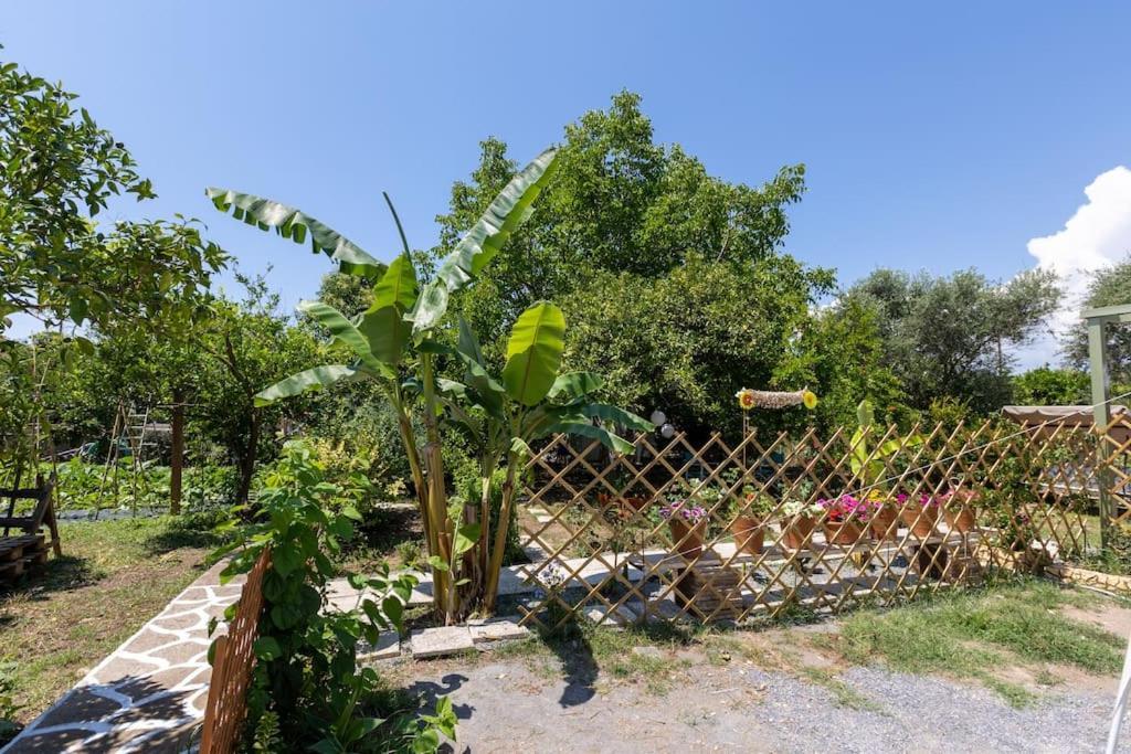 Bougainvillea House With Private Garden Καλαμάτα Εξωτερικό φωτογραφία