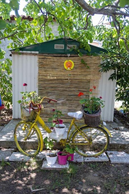 Bougainvillea House With Private Garden Καλαμάτα Εξωτερικό φωτογραφία